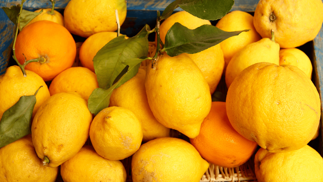 Costa Amalfitana: conheça mais sobre a fama do limão
